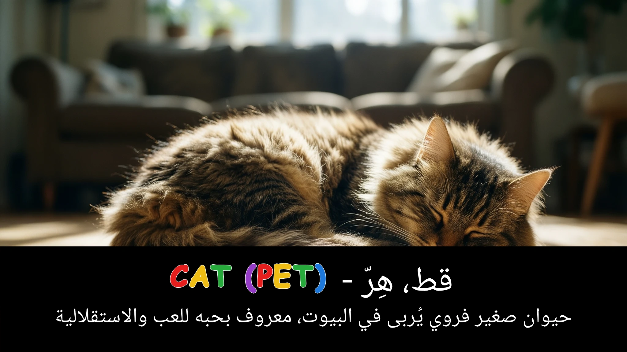 Arabic Illustration for cat (pet)